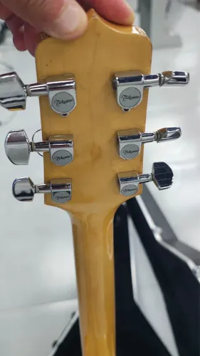 Violão Takamine Numbo