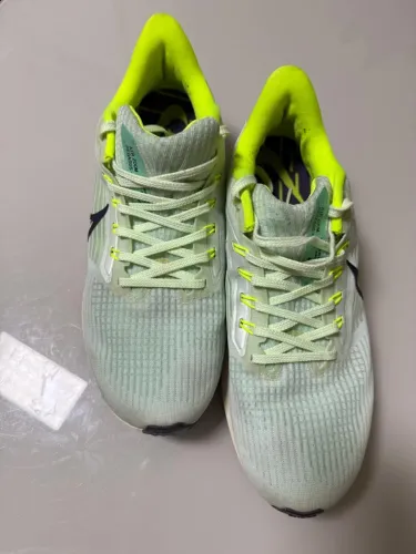Tênis Nike pegasus 41