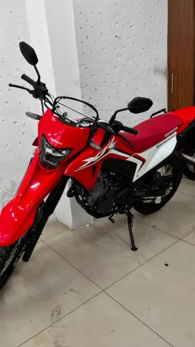 Tornado XR300 2025