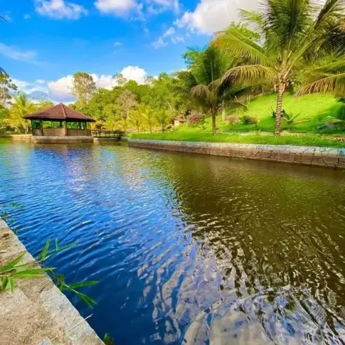 Imóvel para venda possui 03 hectares com 4 quartos em BONITO -- PE