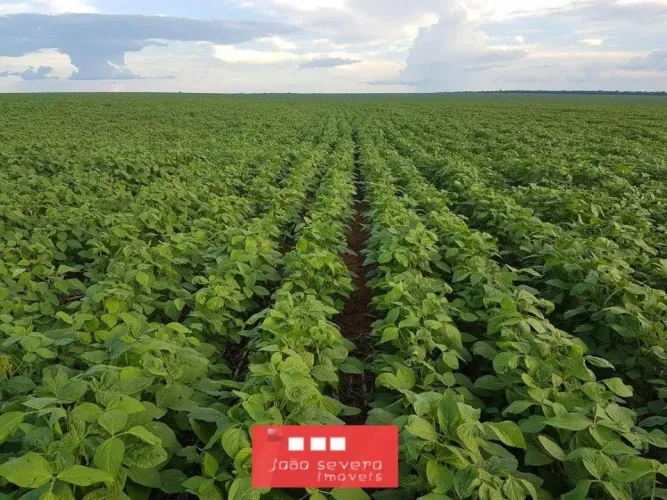 Fazenda para Venda em Água Boa