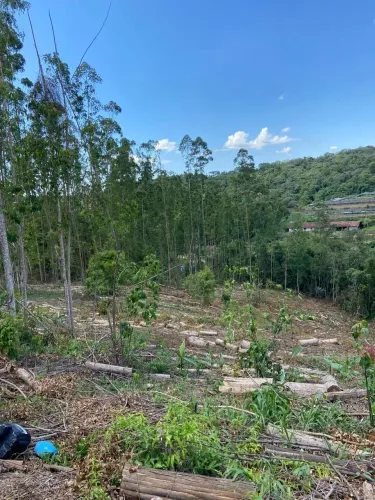 Vende-se terreno no bairro canguera, proximo ao roteiro do vinho em Sao Roque SP