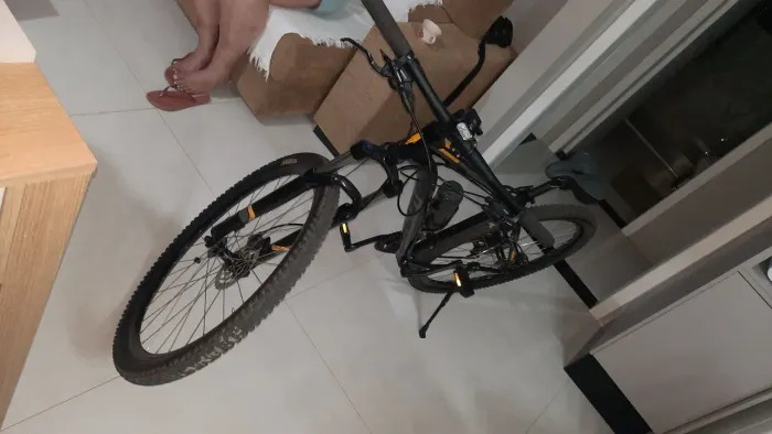 Bicicleta