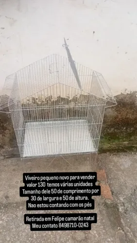 Viveiro novo 