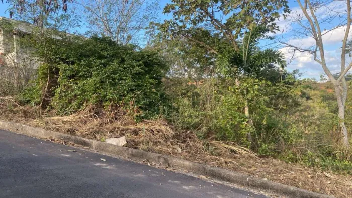 Lote para Venda em Colatina, Mário Giurizatto