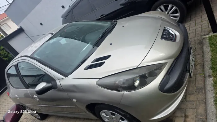 Peugeot 207 XR 1.4 Flex 8V 5P 2011