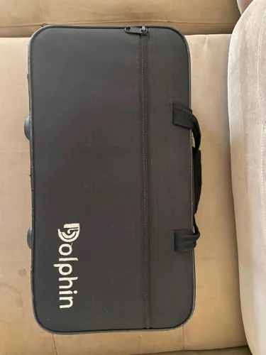 Saxofone Dolphin Soprano Curvo