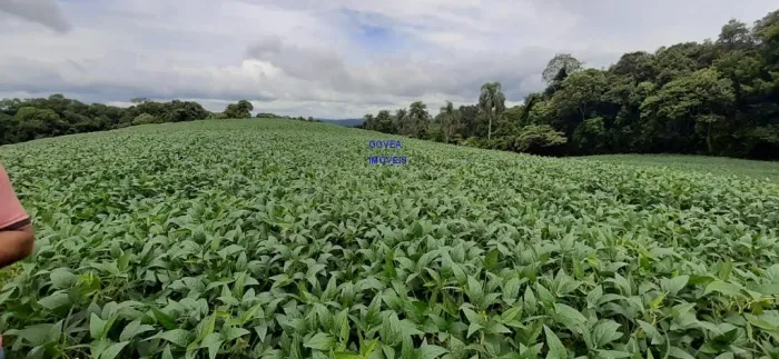 CHÁCARA 20 MIL M², ESCRITURADA E REGISTRADA * FICA A UM KM DA RODOVIA DO XISTO, NA DIVISA