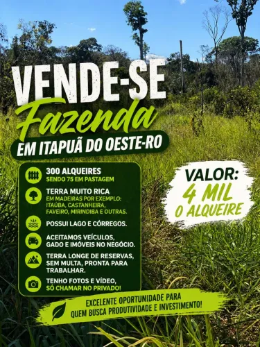 Vende-se fazenda 300 alqueire