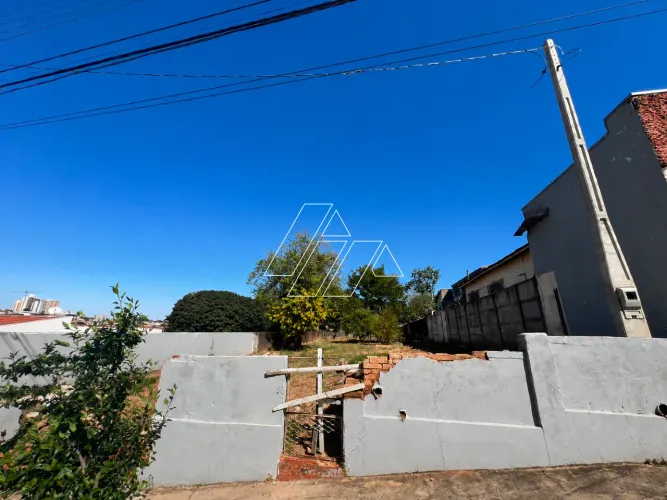 Venda: Terreno Exclusivo de 440 m² no Alto Cafezal (Próximo ao Centro)