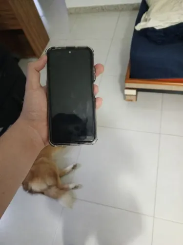VENDE-SE Xiaomi Redmi Note 11S