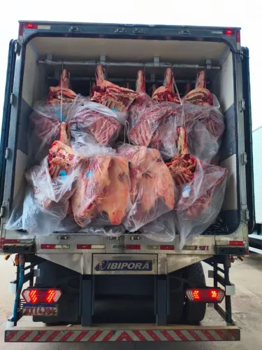 Vendo caminhão frigorífico