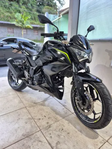 Z300 2019