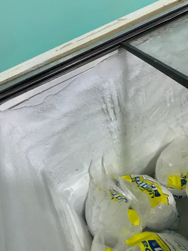 Freezer horizontal 