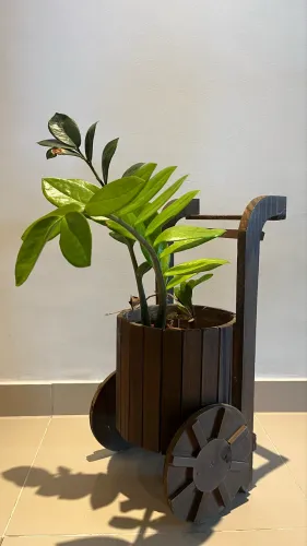 Cachepot Carrinho em madeira