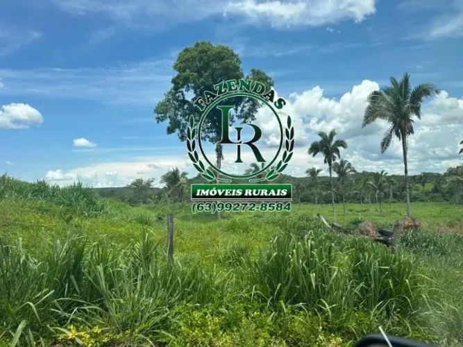 Fazenda 203.5 Alqueires Dupla Aptidão Estado Tocantins