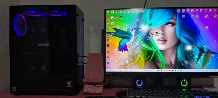 Pc gamer