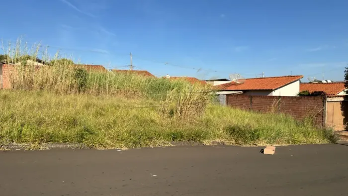 Terreno Padrão em Descalvado