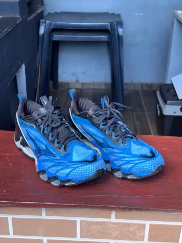 Mizuno wave prophecy 11