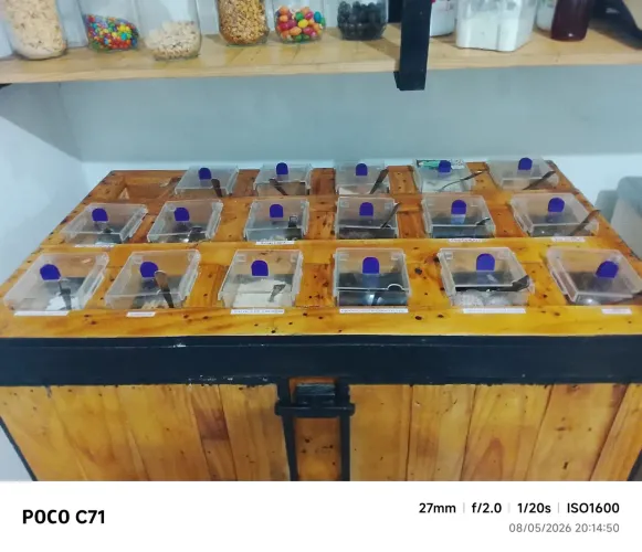 Balcão de açaí