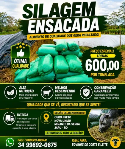 Venda permanente de silagem de milho de alta qualidade
