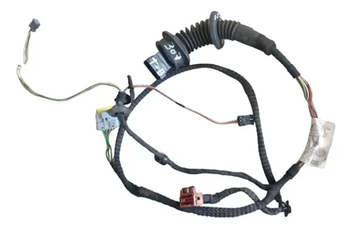 Chicote Porta Traseiro Direito Peugeot 307 2004 A 2020