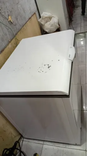 Freezer Cônsul 309 litros 110v