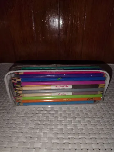 Estojo com lápis de cor diversos