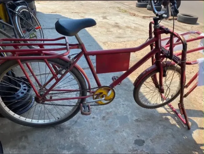 Bicicleta Cargueira