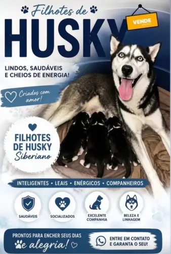 Cachorro Husky Siberiano