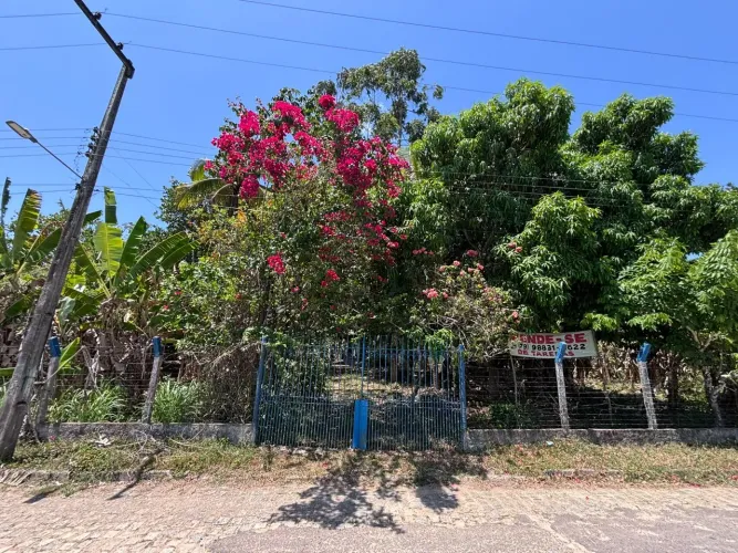 Só interessados e no povoado tapera rua do rio
