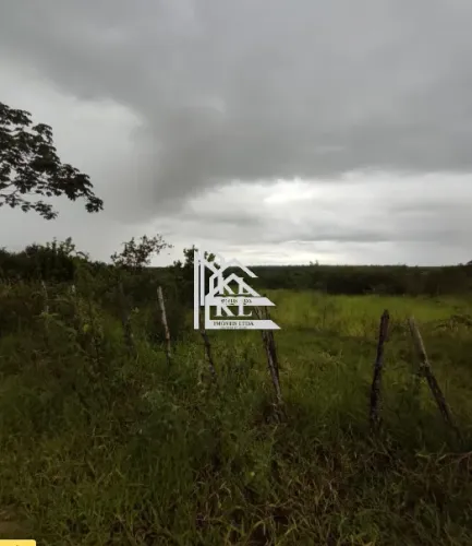 Oportunidade Única! Fazenda à Venda em São José de Mipibu/RN