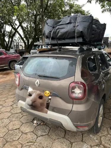 Bagageiro de teto para carros - UNIVERSAL 