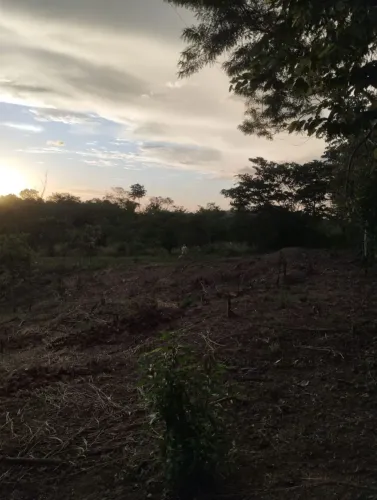 Vende-se ou troca chácara próximo a palmares II