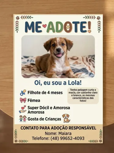 Doação