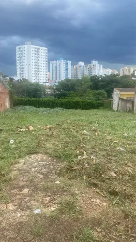Terreno alto padrao