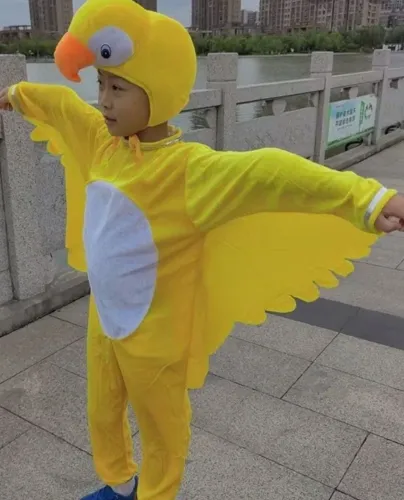 Fantasia de papagaio amarelo