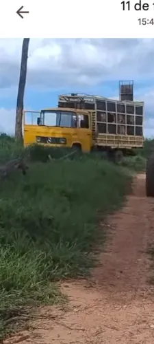 Caminhão boiadeiro ?