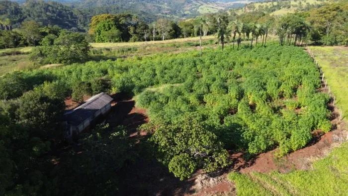 Sítio próximo Araguari 20 hectares