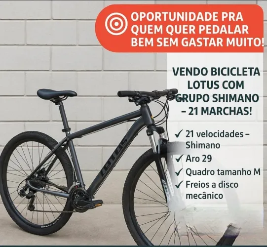 Bicicleta lotus aro 29 