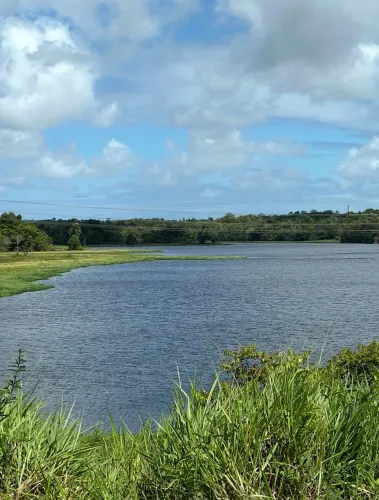 Sítio sossegado perto de tudo !