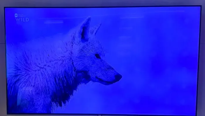 Smartv Samsung 4K - 75"