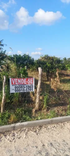 VENDO CHÁCARA