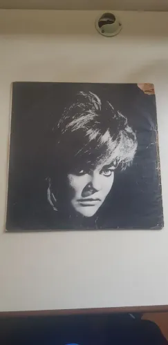 LP Maysa