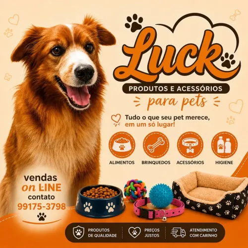 Produtos e acessórios para e gatos