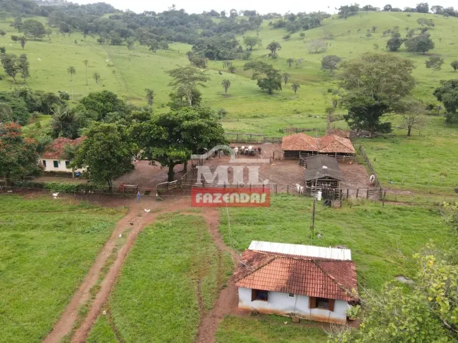 Fazenda de cultura próximo a Goiânia - 46.28 alqueires (223.99 ha)