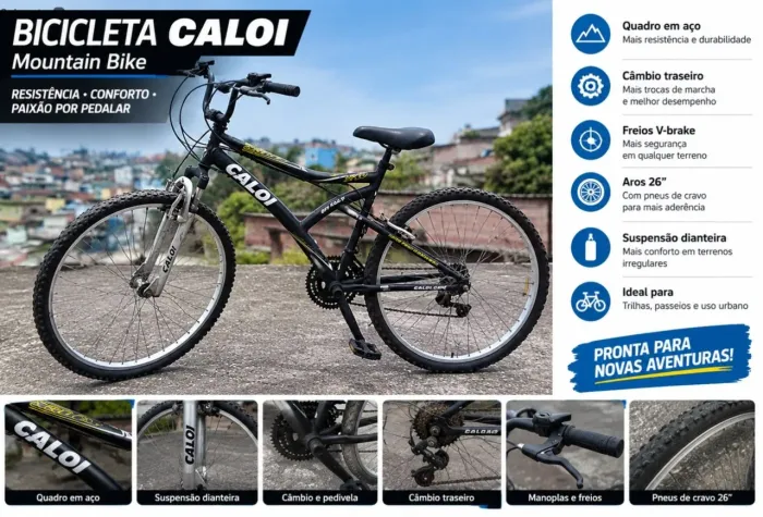 Bicicleta