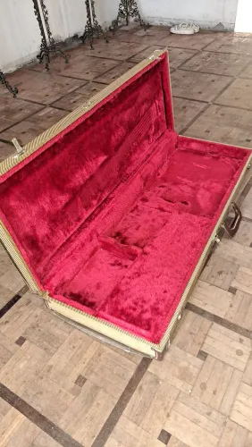 Hard case Tagima twin vintage - telecaster stratocaster