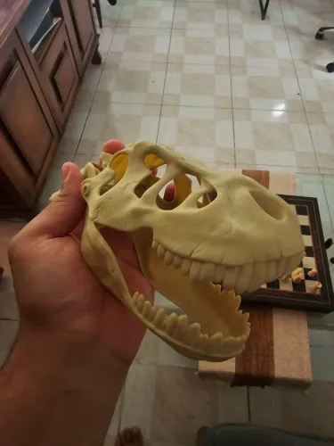 Crânio de dinossauro T-Rex - Réplica 20 cm