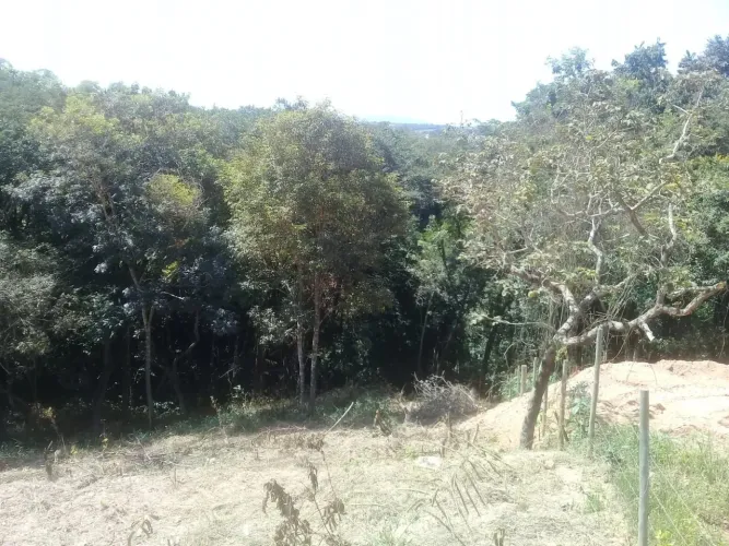 Terreno com Área Verde em Local Tranquilo